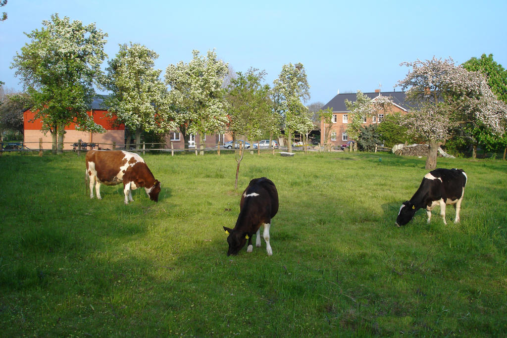 Hof Faasel - Bauernhofurlaub An Der Ostsee Grömitz Exteriör bild